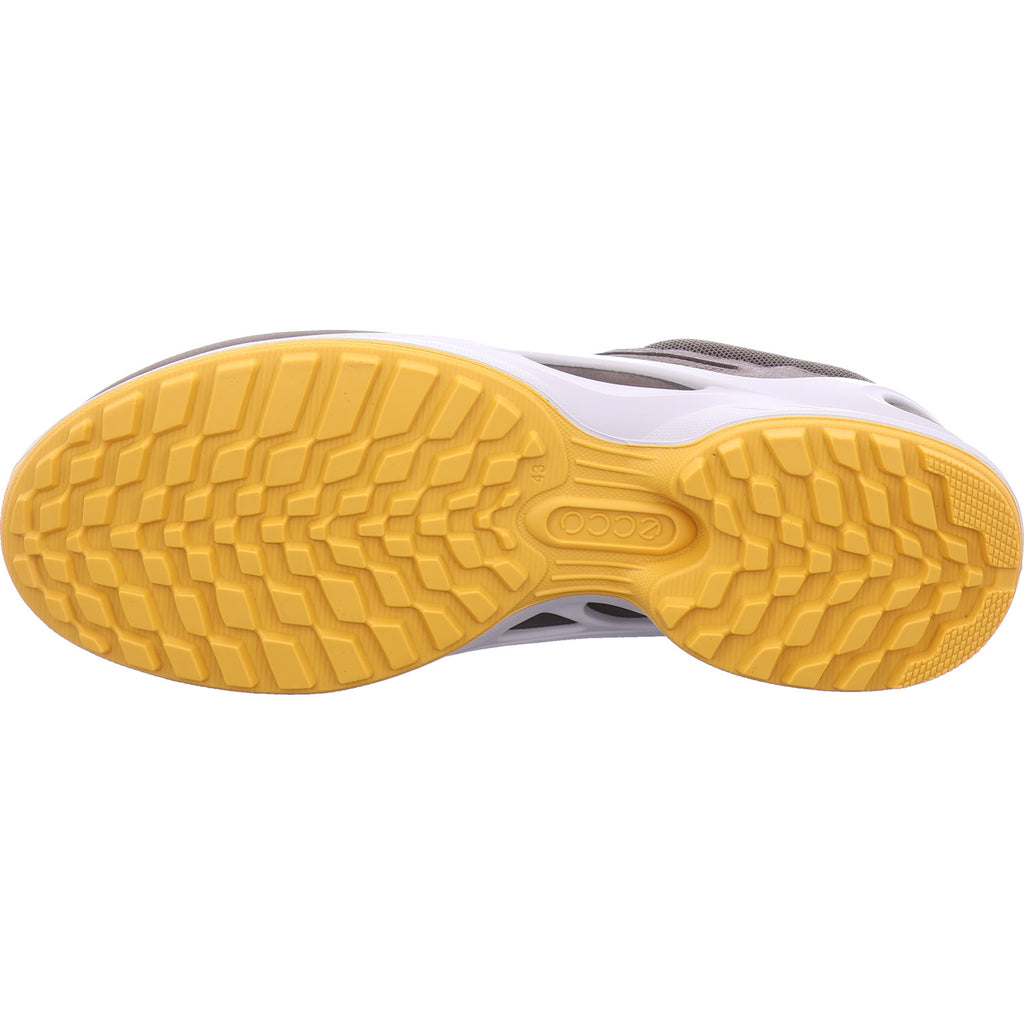 Ecco Herren Sneaker  in braun