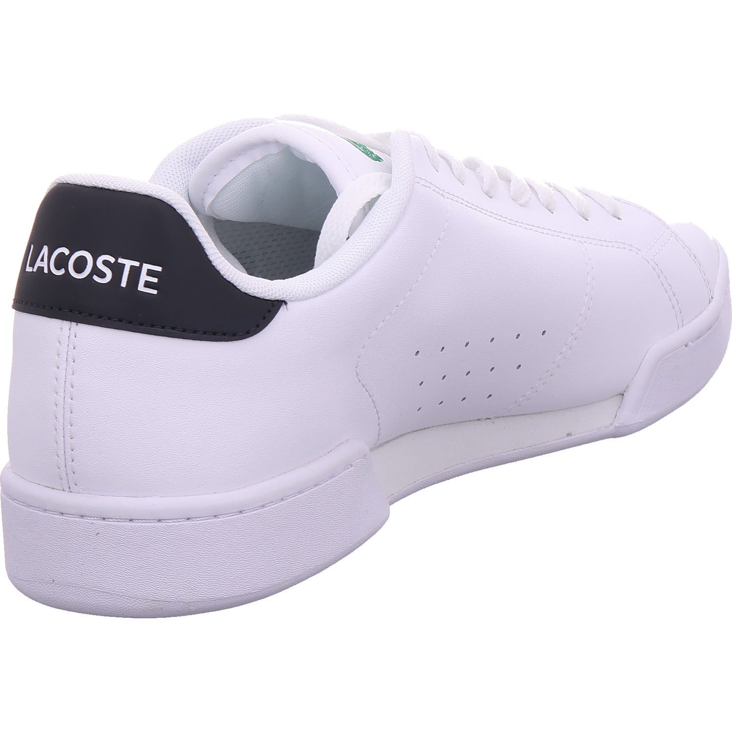 Pánské tenisky Lacoste Carnaby Cup v bílé barvě