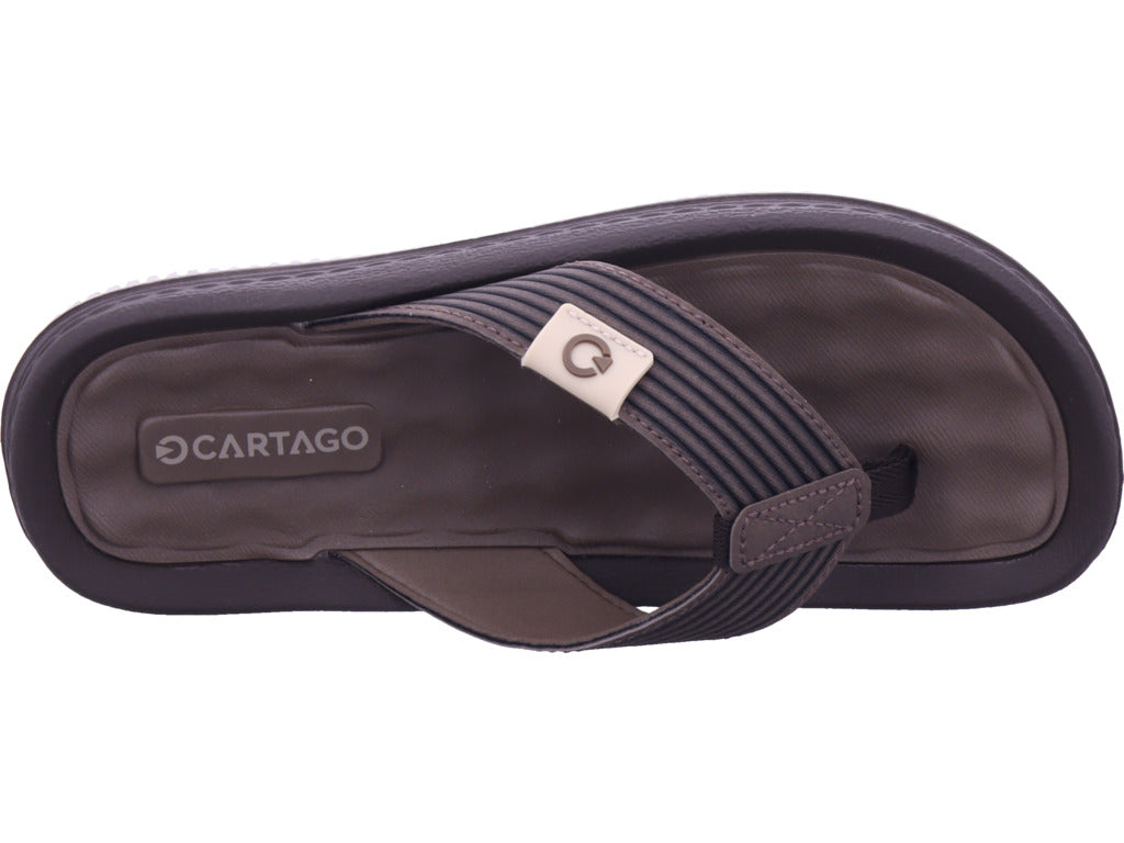 Ipanema Men's Cartago Danas Swim Shoe in brown