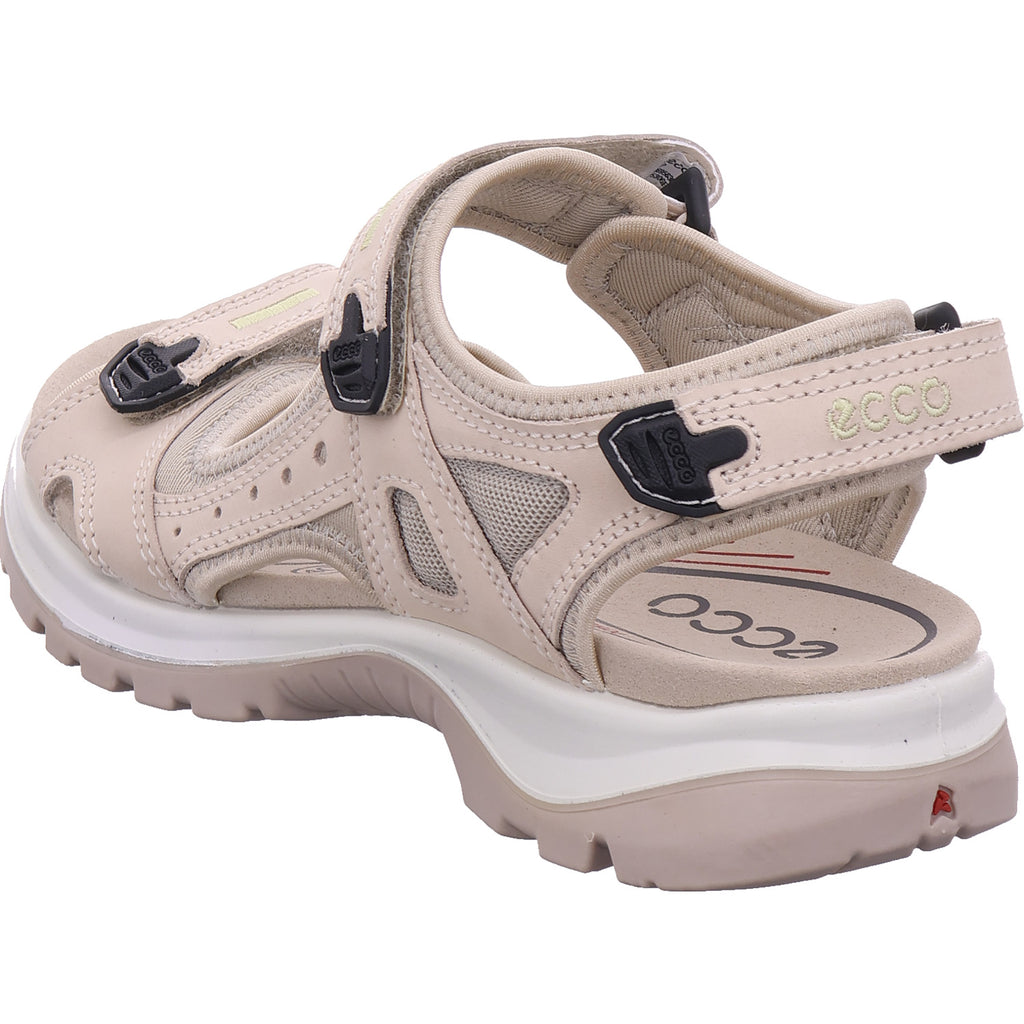 Ecco Damen Sneaker  in weiß