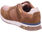 Camel Men's Sneakers in brown