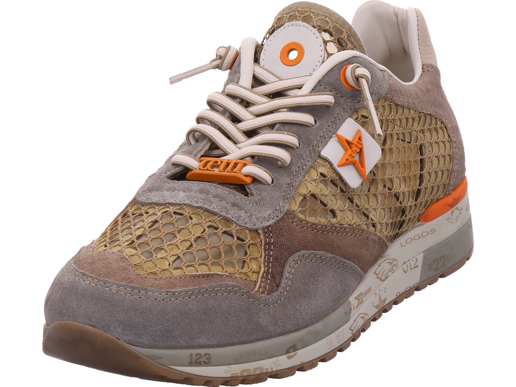 Cetti Herren Sneaker  in braun