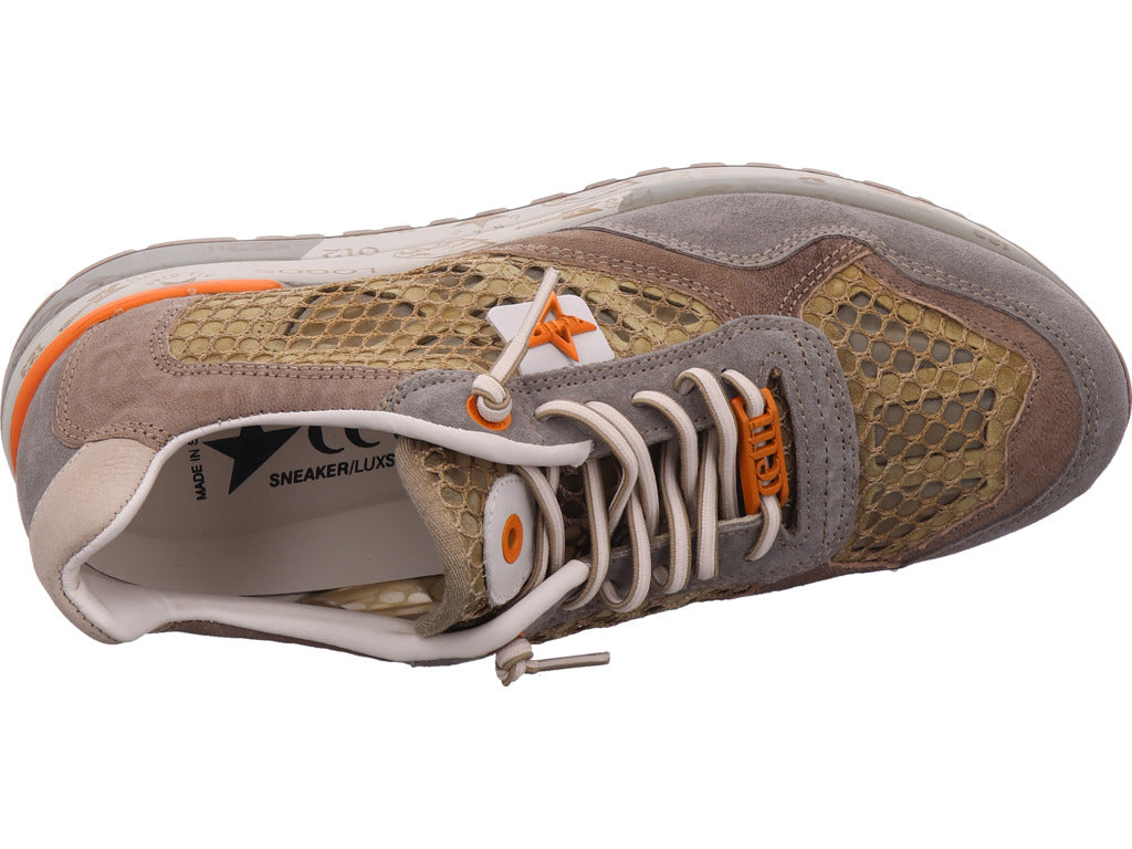 Cetti Herren Sneaker  in braun