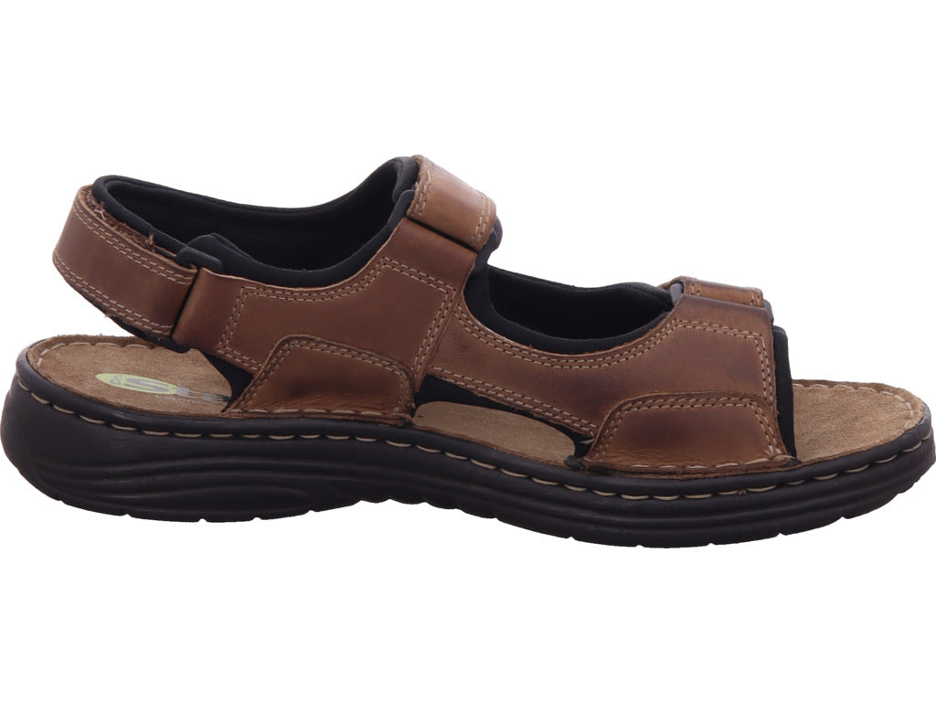 shoeconzep Herren   in braun