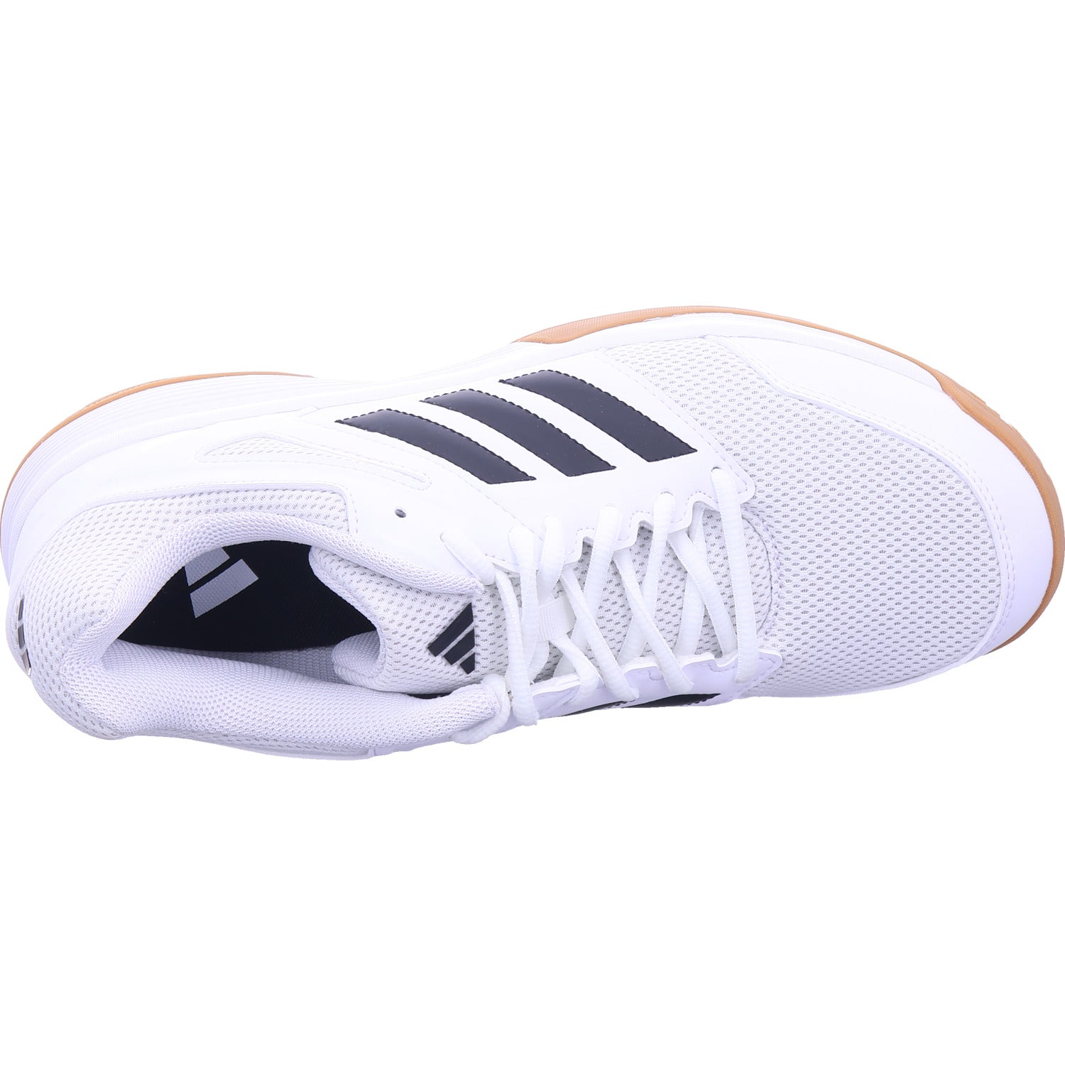 Adidas Men's Sports Shoe Speedcourt M in White