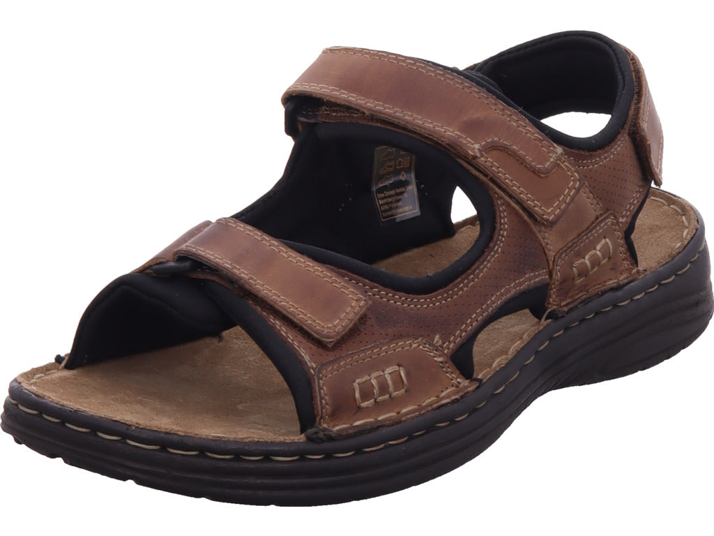 shoeconzep Herren   in braun