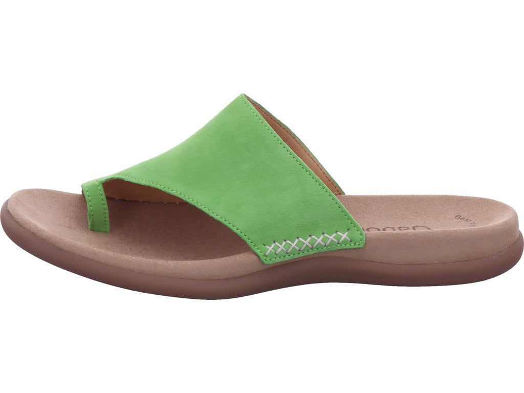Gabor Women's Mules in Green