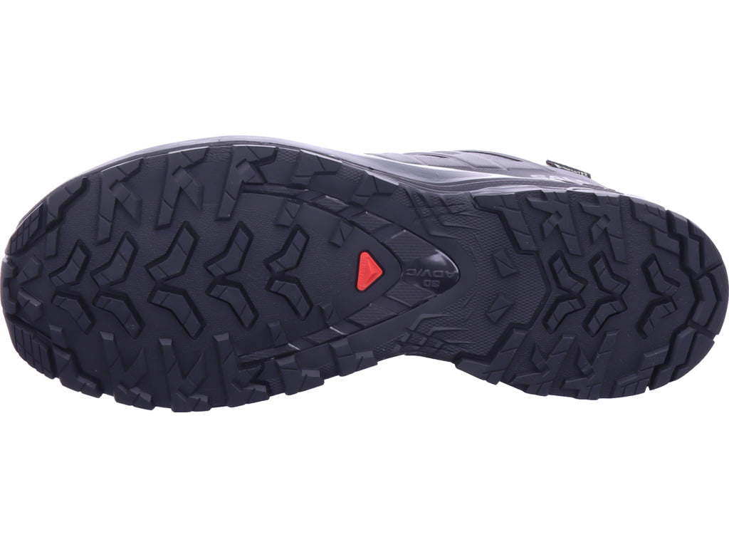 Salomon Herren Wanderschuh Xa Pro 3D V9 Gtx in schwarz