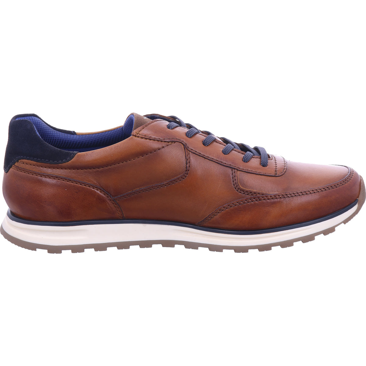 Bugatti Herren Sneaker  in braun