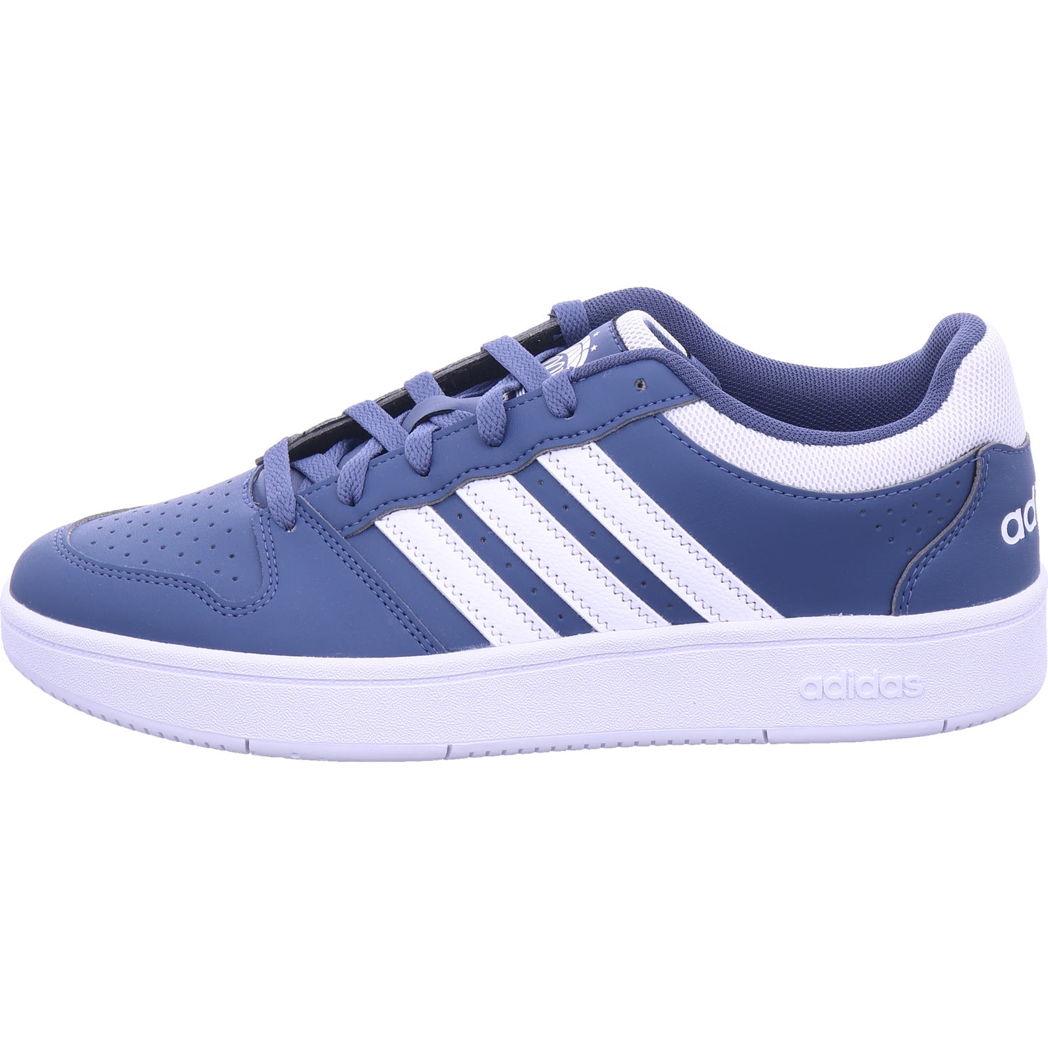 Adidas Damen Sneaker Hoops Classic in blau