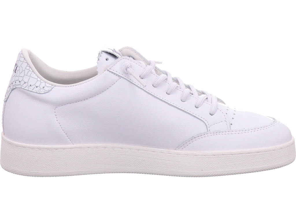 Cetti Herren Sneaker  in weiß