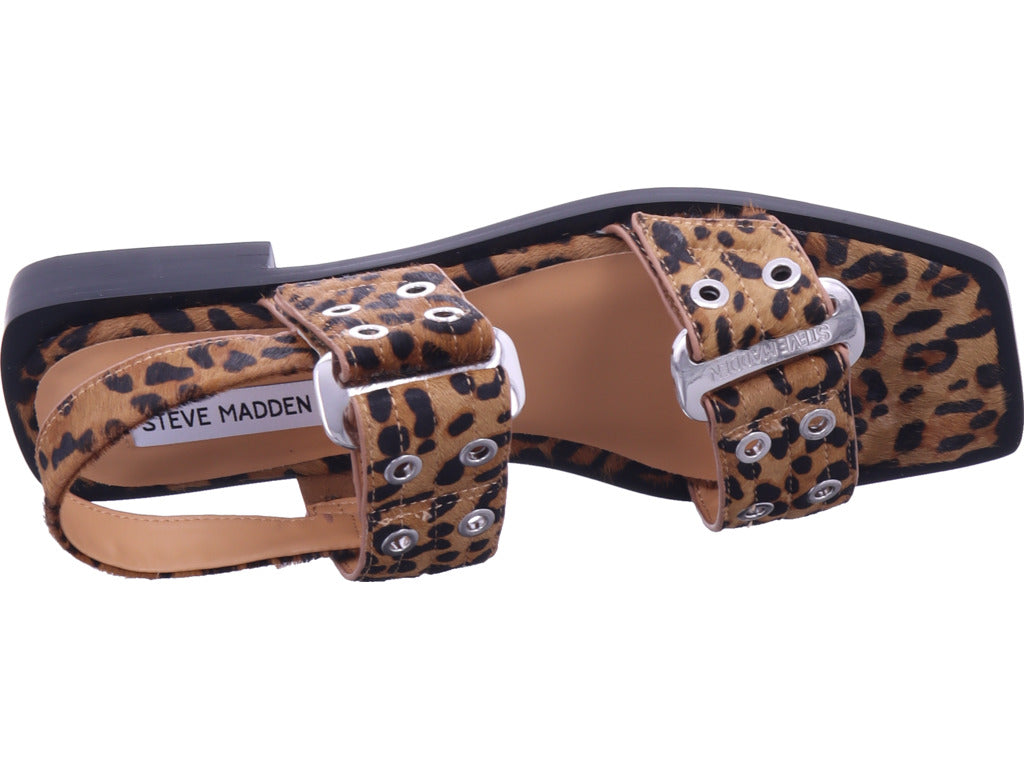 Steve madden Damen Sandale  in braun