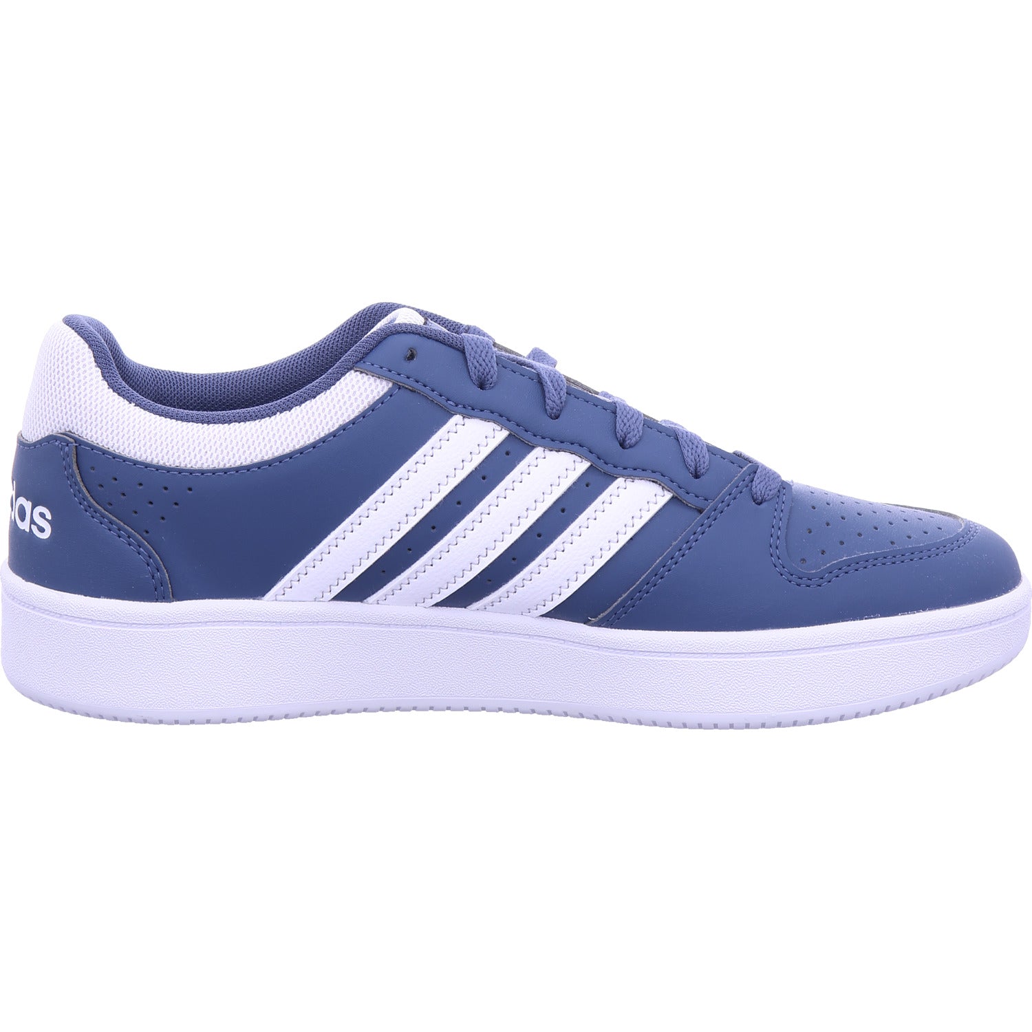Adidas Damen Sneaker Hoops Classic in blau