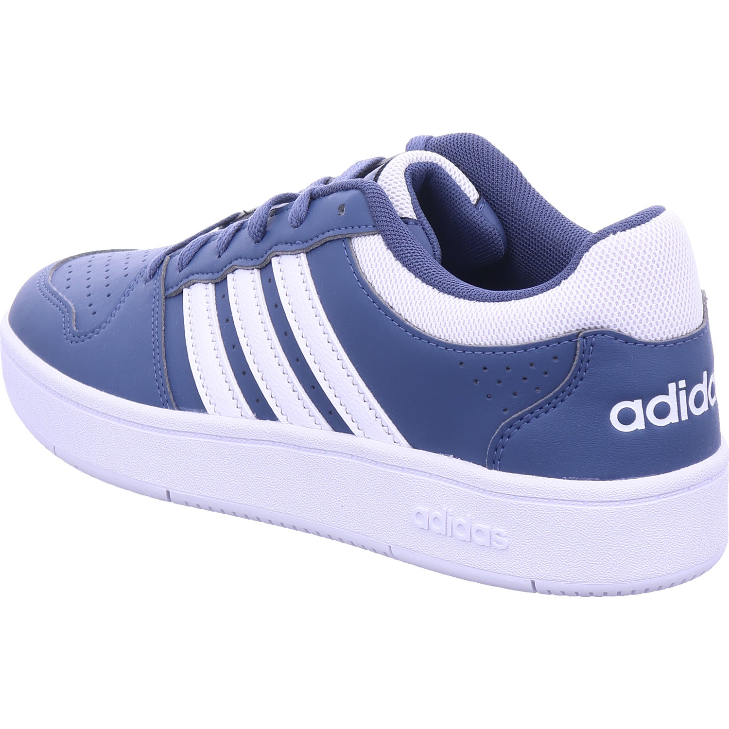 Adidas Damen Sneaker Hoops Classic in blau