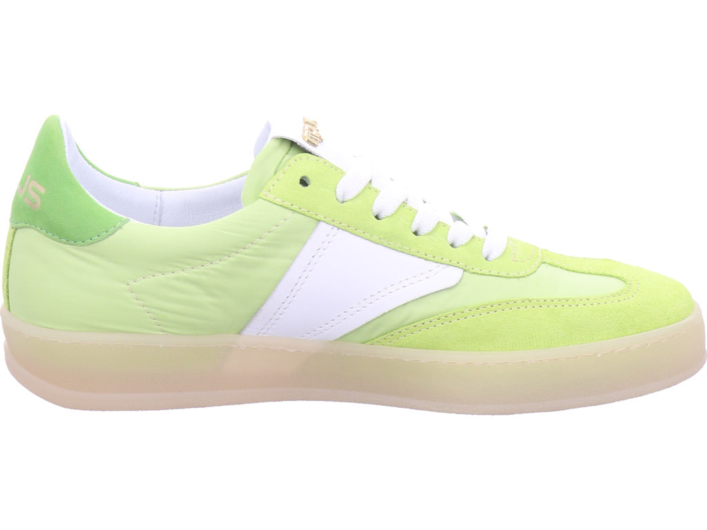 Mjus Damen Sneaker  in grün