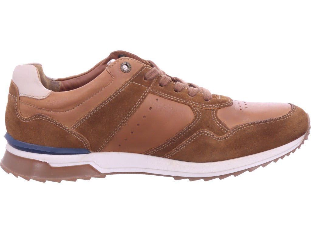 Camel Men's Sneakers in brown