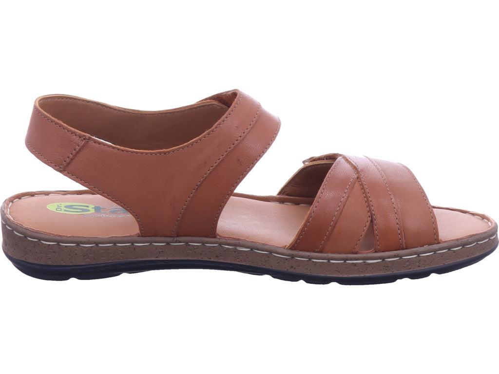 shoeconzep Herren   in braun