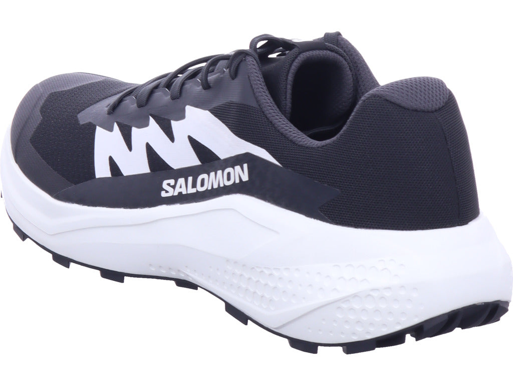 Salomon pánská turistická obuv Alphaglide v černé barvě