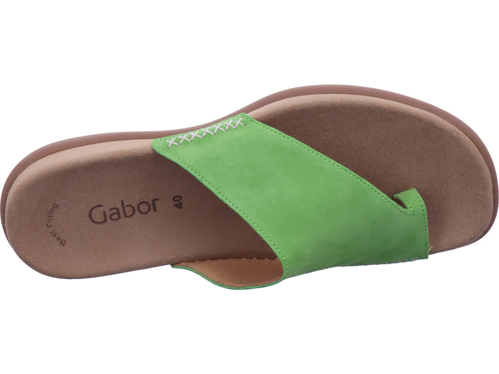 Gabor Women's Mules in Green